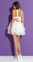 Load image into Gallery viewer, Backless Mini Tutu Dress (Fuschia/White)
